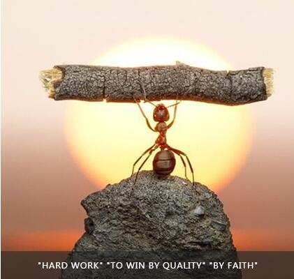 yp街机·电子游戏(中国)官方网站